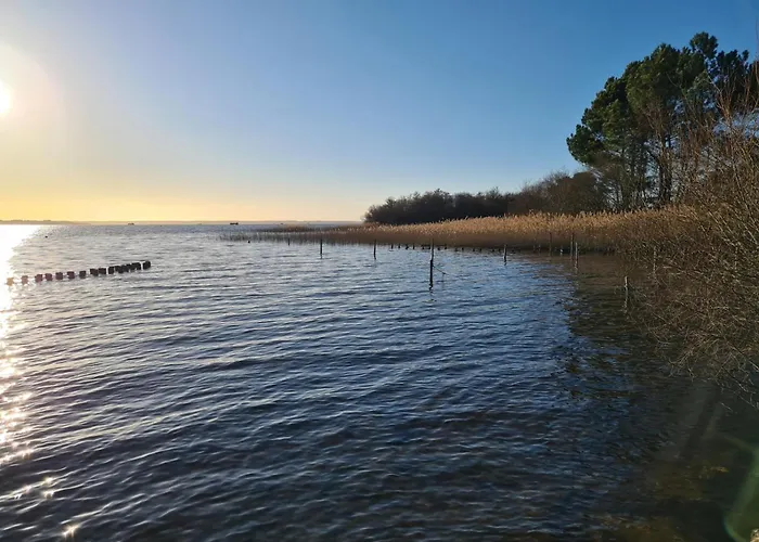 Bed & Breakfast Floryanne 3*